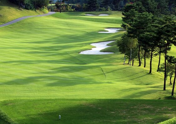 golf-green-field-grass